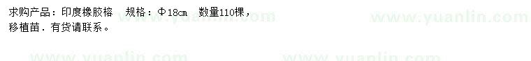 求購18公分印度橡膠榕