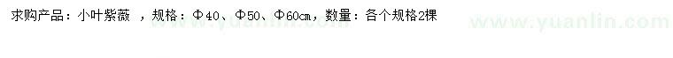 求購40、50、60公分小葉紫薇