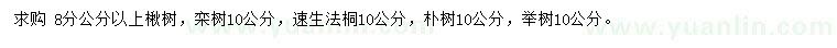 求購(gòu)楸樹、欒樹、速生法桐等