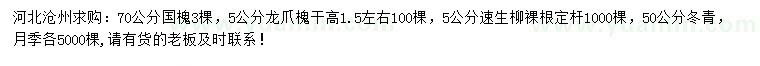 求購國槐、龍爪槐、速生柳等