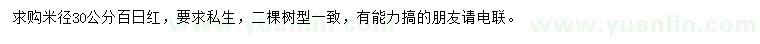 求購(gòu)米徑30公分百日紅