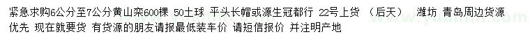 求購6-7公分黃山欒