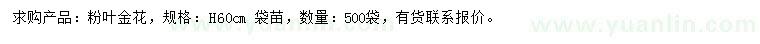 求購(gòu)高60公分粉葉金花
