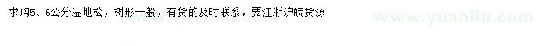 求購(gòu)5、6公分濕地松