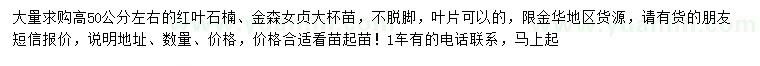 求購高50公分紅葉石楠、金森女貞