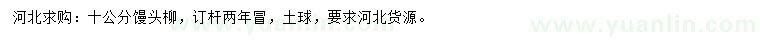 求購10公分饅頭柳