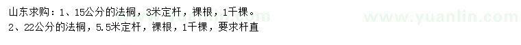 求購15公分法桐、22公分法桐