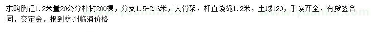 求購1.2米量20公分樸樹
