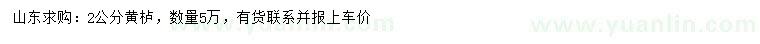 求購(gòu)2公分黃櫨