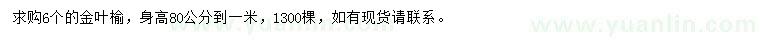求購(gòu)6公分金葉榆