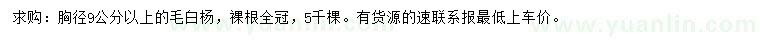 求購胸徑9公分以上毛白楊