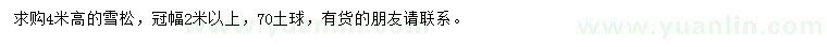 求購(gòu)高4米雪松