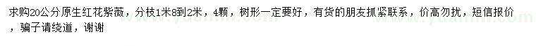 求購(gòu)胸徑20公分紅花紫薇