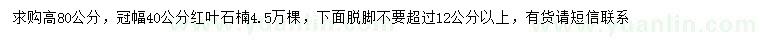 求購(gòu)高80公分紅葉石楠
