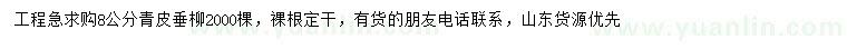 求購8公分青皮垂柳
