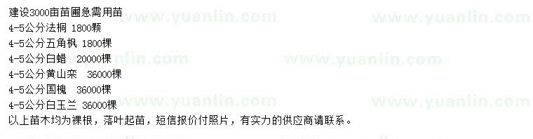求購法桐、五角楓、白蠟等