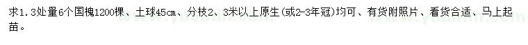 求購1.3量6公分國槐
