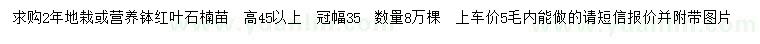 求購高45公分以上紅葉石楠