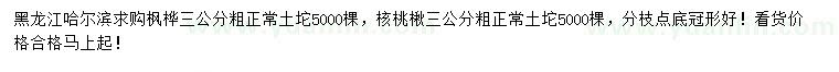 求購3公分楓樺、核桃楸
