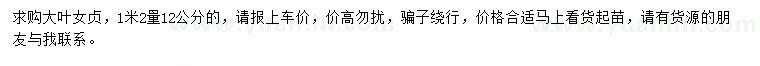 求購(gòu)1.2米量12公分大葉女貞