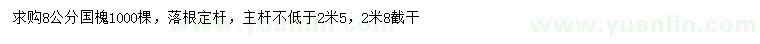 求購8公分國槐