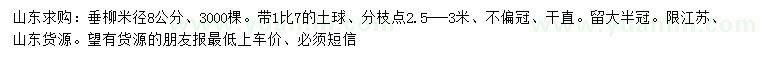求購米徑8公分垂柳