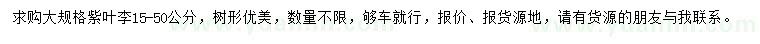 求購(gòu)15-50公分紫葉李