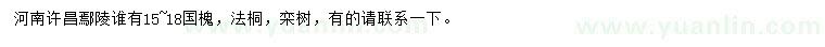 求購(gòu)國(guó)槐、法桐、欒樹