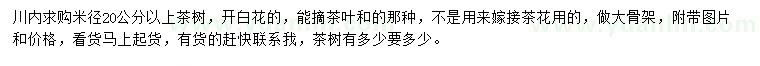 求購米徑20公分以上茶樹