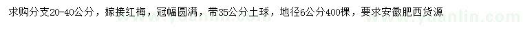 求購地徑6公分嫁接紅梅