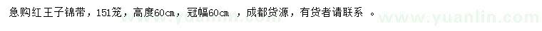 求購高60公分紅王子錦帶