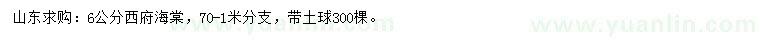 求購(gòu)6公分西府海棠