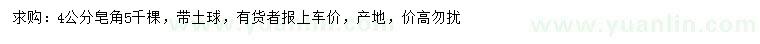 求購4公分皂角