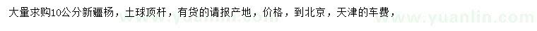 求購10公分新疆楊