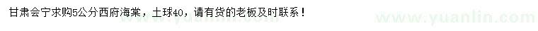 求購5公分西府海棠