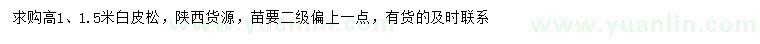 求購高1、1.5米白皮松