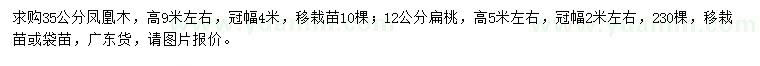 求購35公分鳳凰木、12公分扁桃