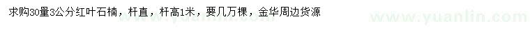 求購30量3公分紅葉石楠