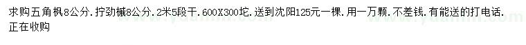 求購8公分五角楓、擰筋槭