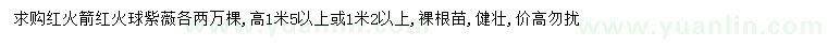 求購高1.2、1.5米以上紅火箭、紅火球紫薇