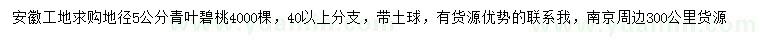 求購地徑5公分青葉碧桃