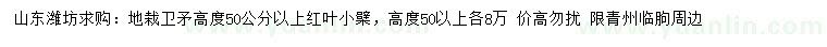 求購高50公分以上地栽衛(wèi)矛、紅葉小檗