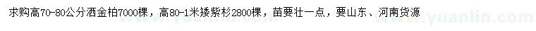 求購高70-80公分灑金柏、高80-1米矮紫杉