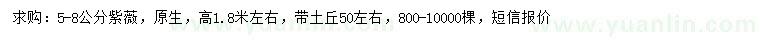 求購5-8公分紫薇