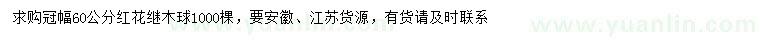 求購冠幅60公分紅花繼木球