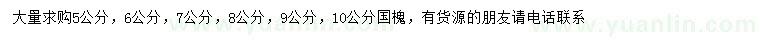 求購(gòu)5、6、7、8、9、10公分國(guó)槐