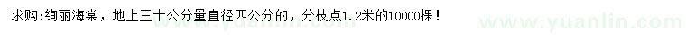 求購30公分量4公分絢麗海棠