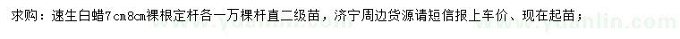 求購7、8公分速生白蠟