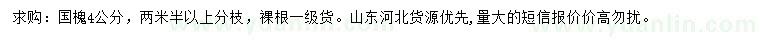 求購4公分國槐