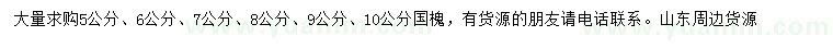 求購5、6、7、8、9、10公分國槐